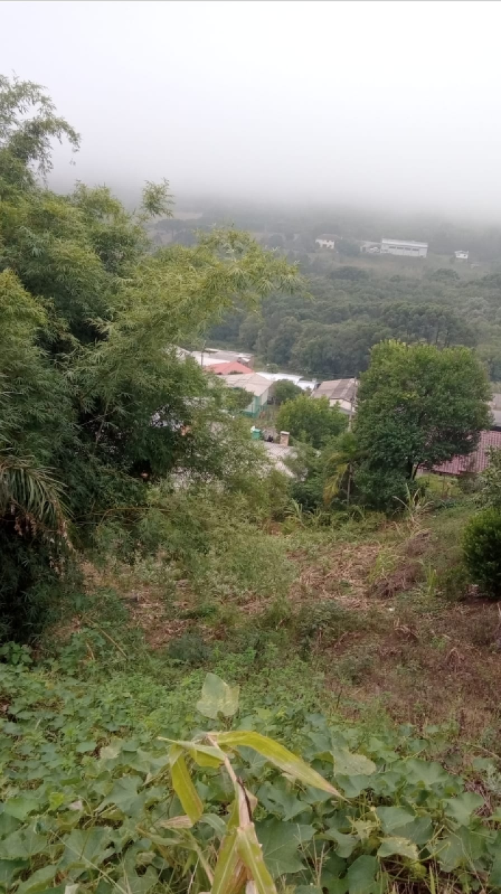 - 01 (UM) LOTE URBANO Nº 10, DA QUADRA Nº 1.019 630M² B/MONTE PASCUAL/ FARROUPILHA/RS